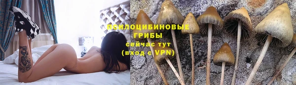 СК Балахна